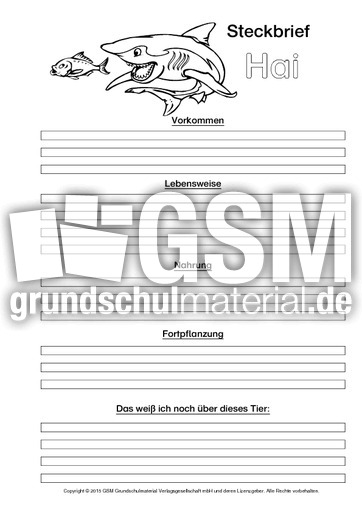 Hai-Steckbriefvorlage-sw-2.pdf